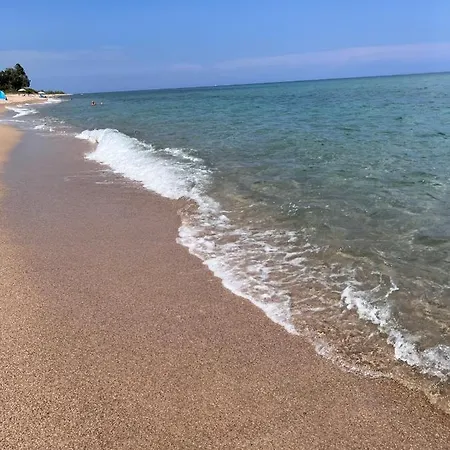 Centre Avec Piscine Rooftop Sari-Solenzara
